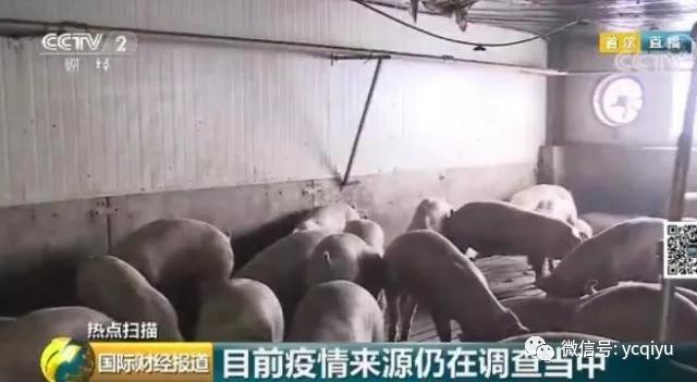3118云顶集团(中国区)官方网站