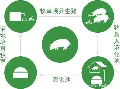 3118云顶集团(中国区)官方网站