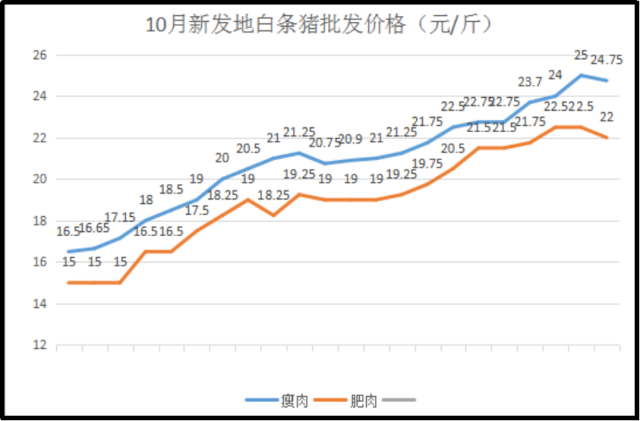 3118云顶集团(中国区)官方网站