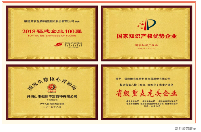 3118云顶集团(中国区)官方网站