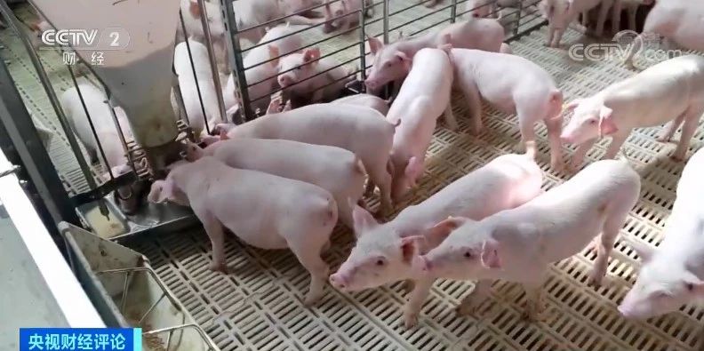 3118云顶集团(中国区)官方网站