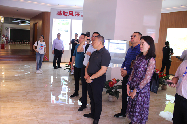 3118云顶集团(中国区)官方网站