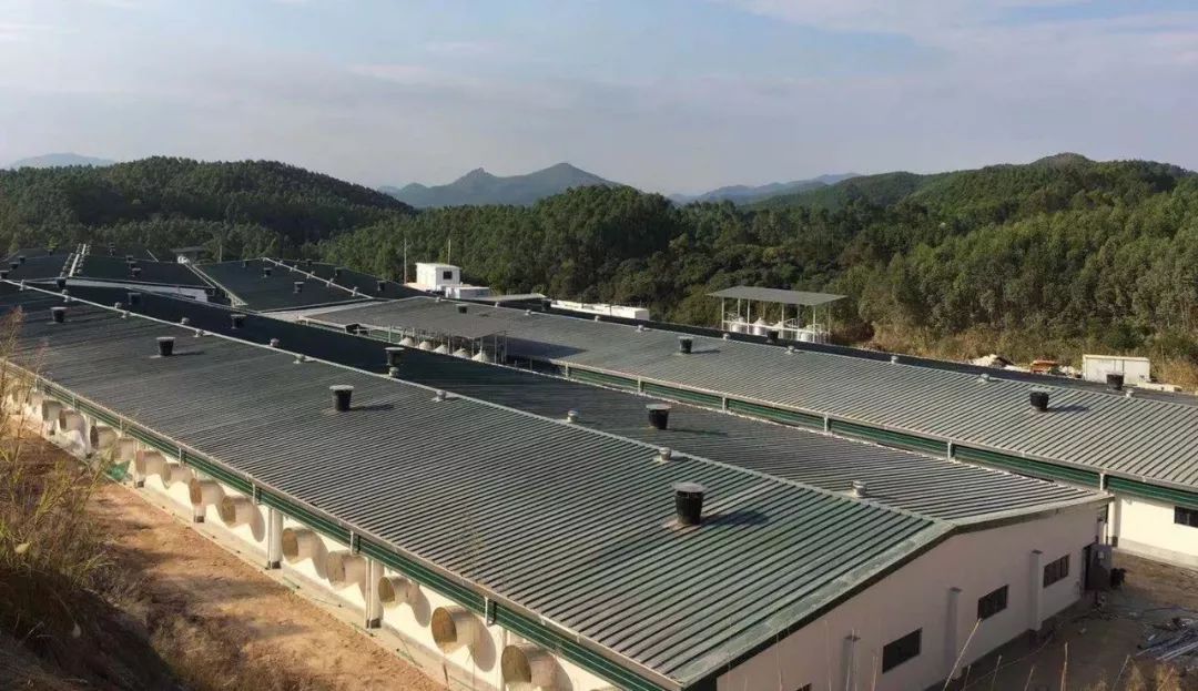3118云顶集团(中国区)官方网站