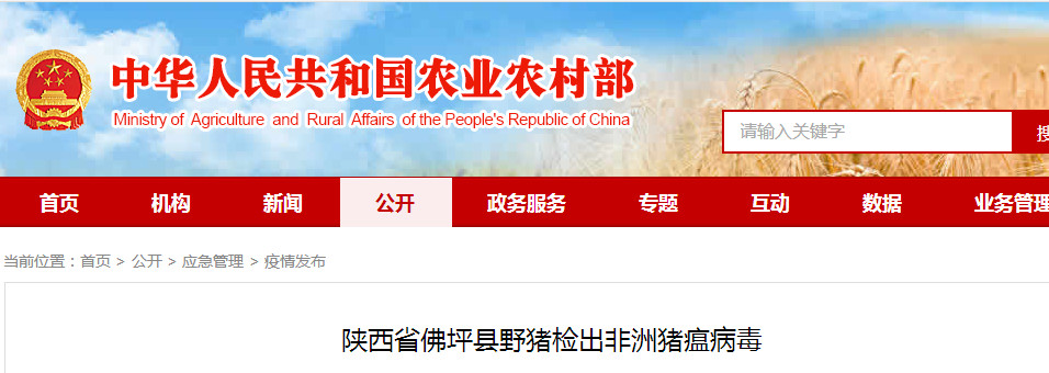 3118云顶集团(中国区)官方网站
