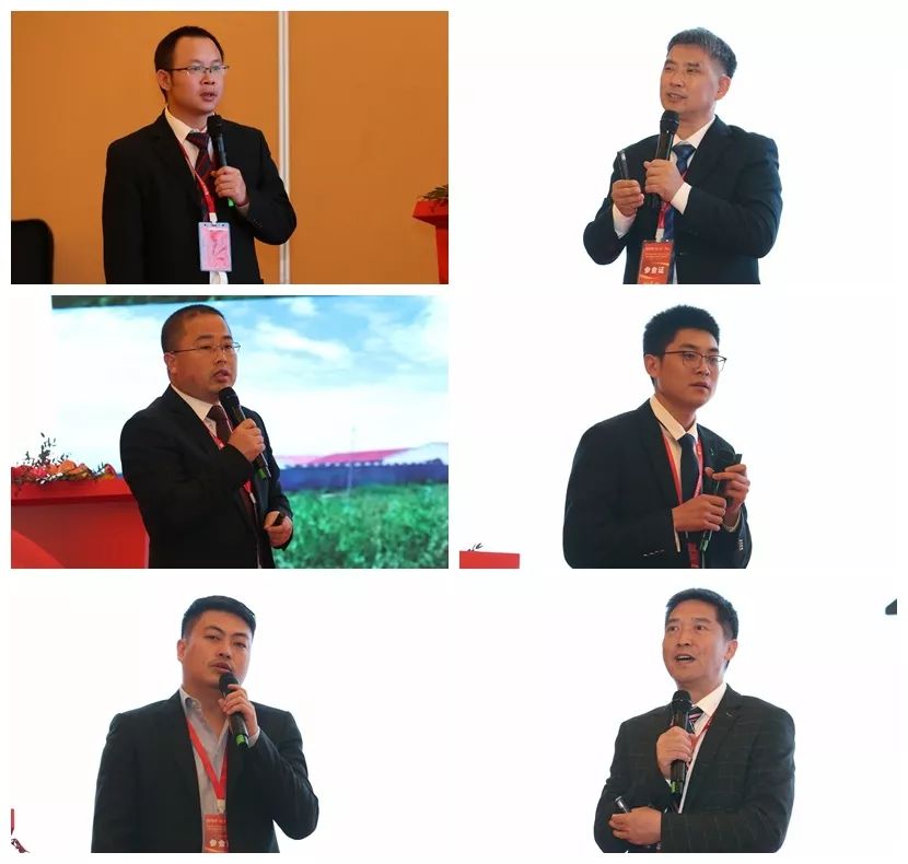 3118云顶集团(中国区)官方网站