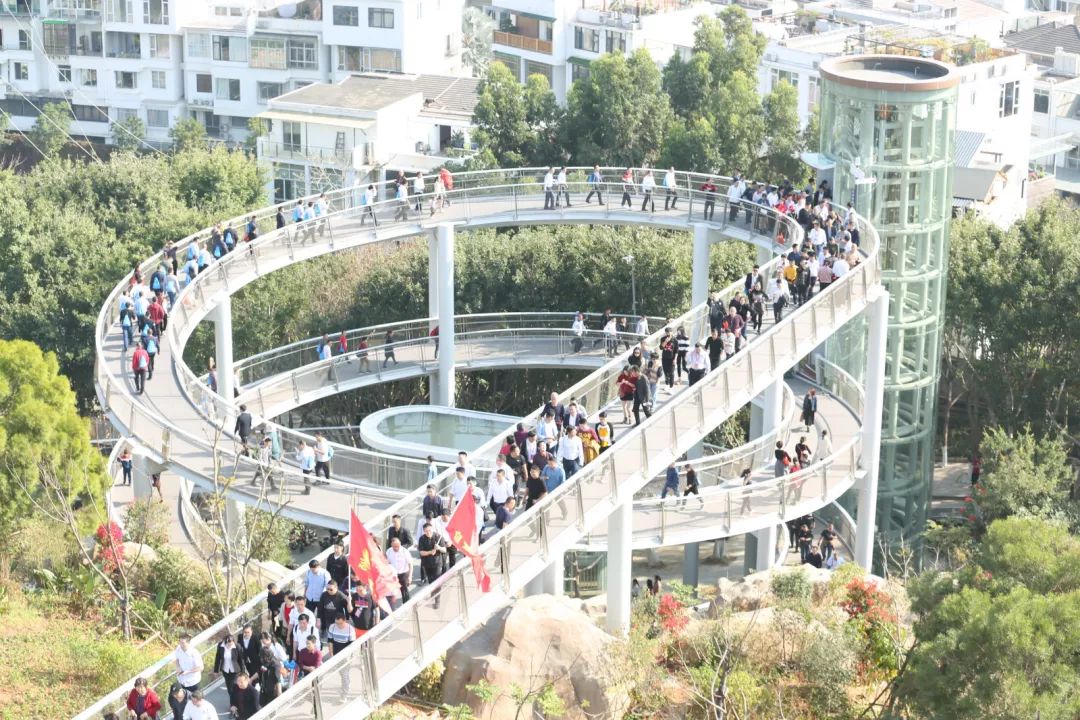 3118云顶集团(中国区)官方网站
