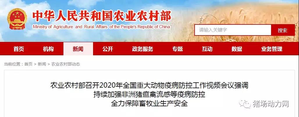 3118云顶集团(中国区)官方网站