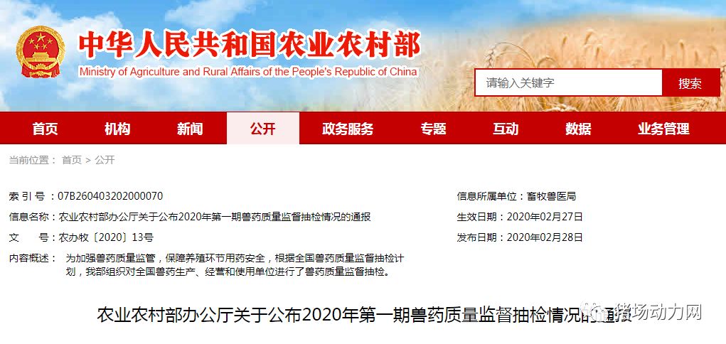 3118云顶集团(中国区)官方网站