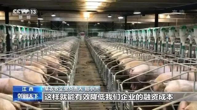 3118云顶集团(中国区)官方网站