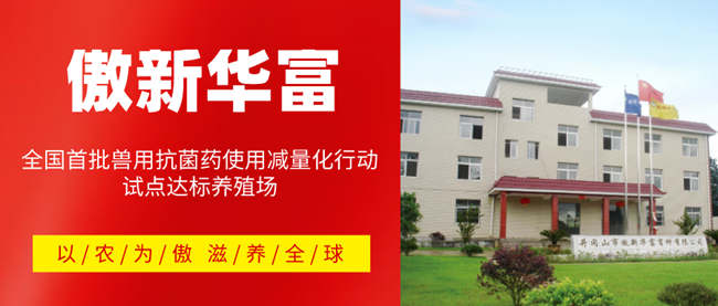 3118云顶集团(中国区)官方网站