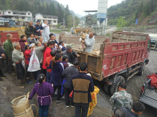 3118云顶集团(中国区)官方网站