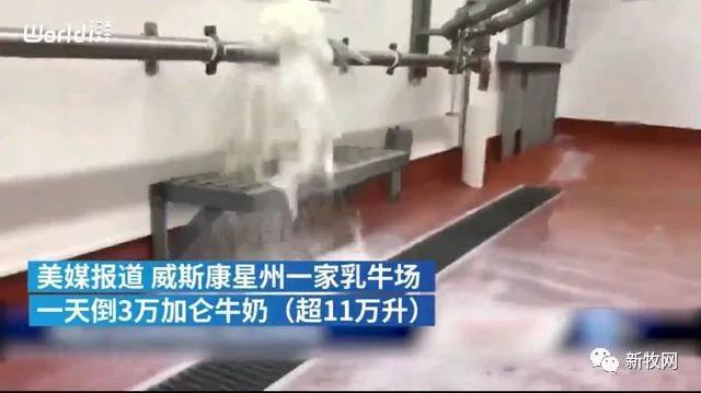 3118云顶集团(中国区)官方网站