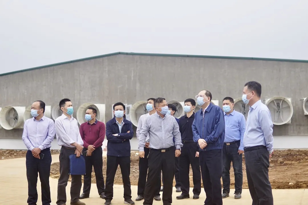 3118云顶集团(中国区)官方网站