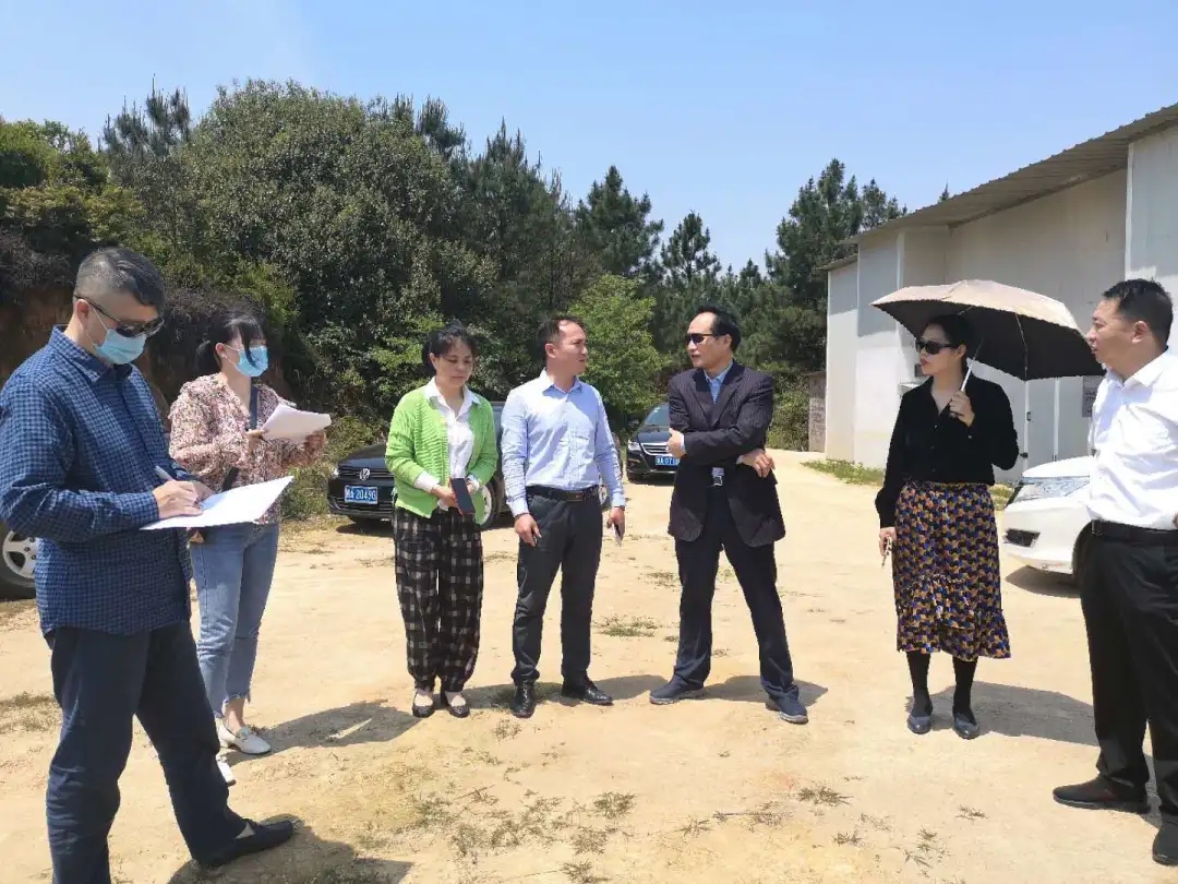 3118云顶集团(中国区)官方网站
