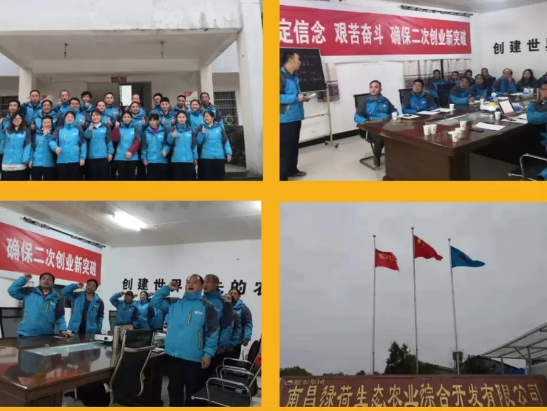 3118云顶集团(中国区)官方网站