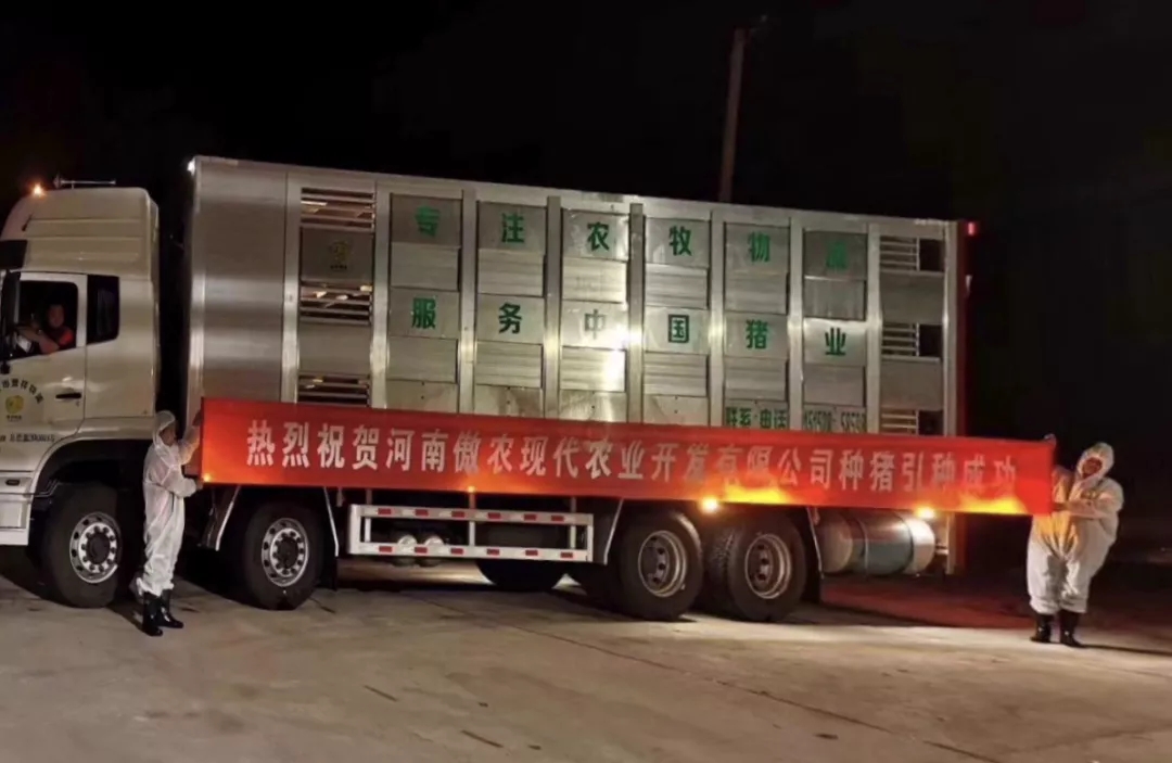 3118云顶集团(中国区)官方网站