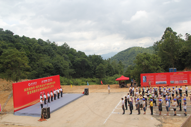 3118云顶集团(中国区)官方网站