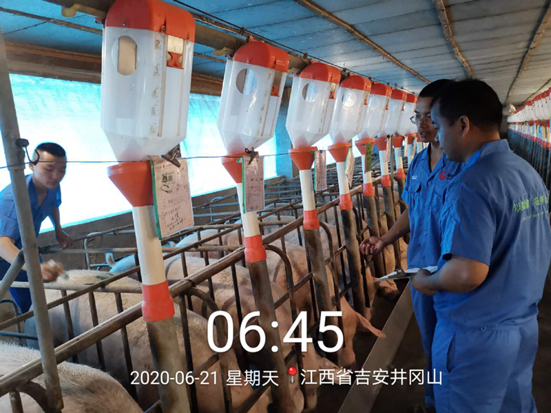 3118云顶集团(中国区)官方网站