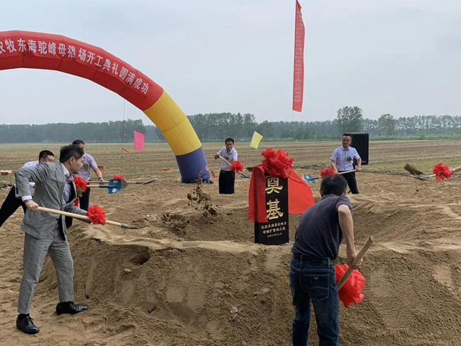 3118云顶集团(中国区)官方网站