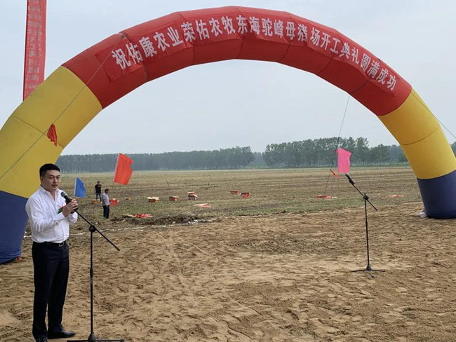 3118云顶集团(中国区)官方网站