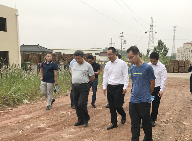 3118云顶集团(中国区)官方网站
