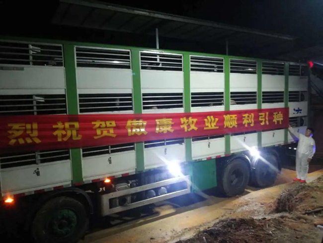 3118云顶集团(中国区)官方网站