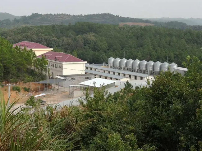 3118云顶集团(中国区)官方网站