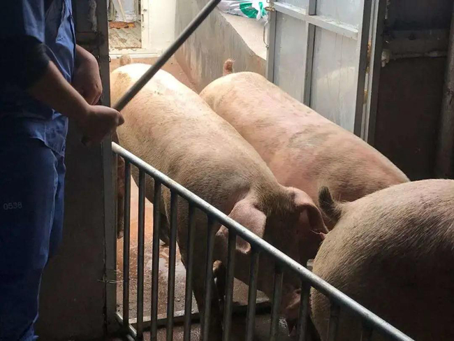 3118云顶集团(中国区)官方网站