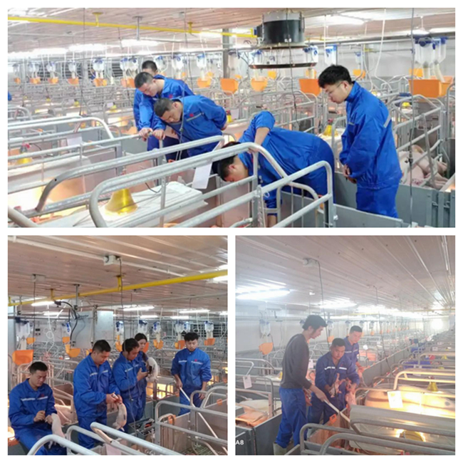 3118云顶集团(中国区)官方网站