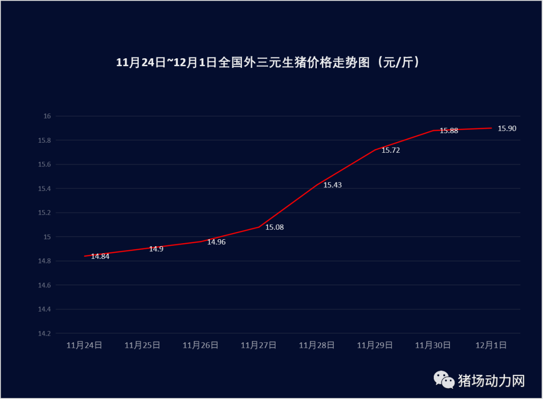 3118云顶集团(中国区)官方网站
