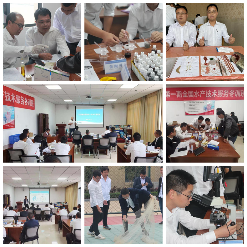3118云顶集团(中国区)官方网站