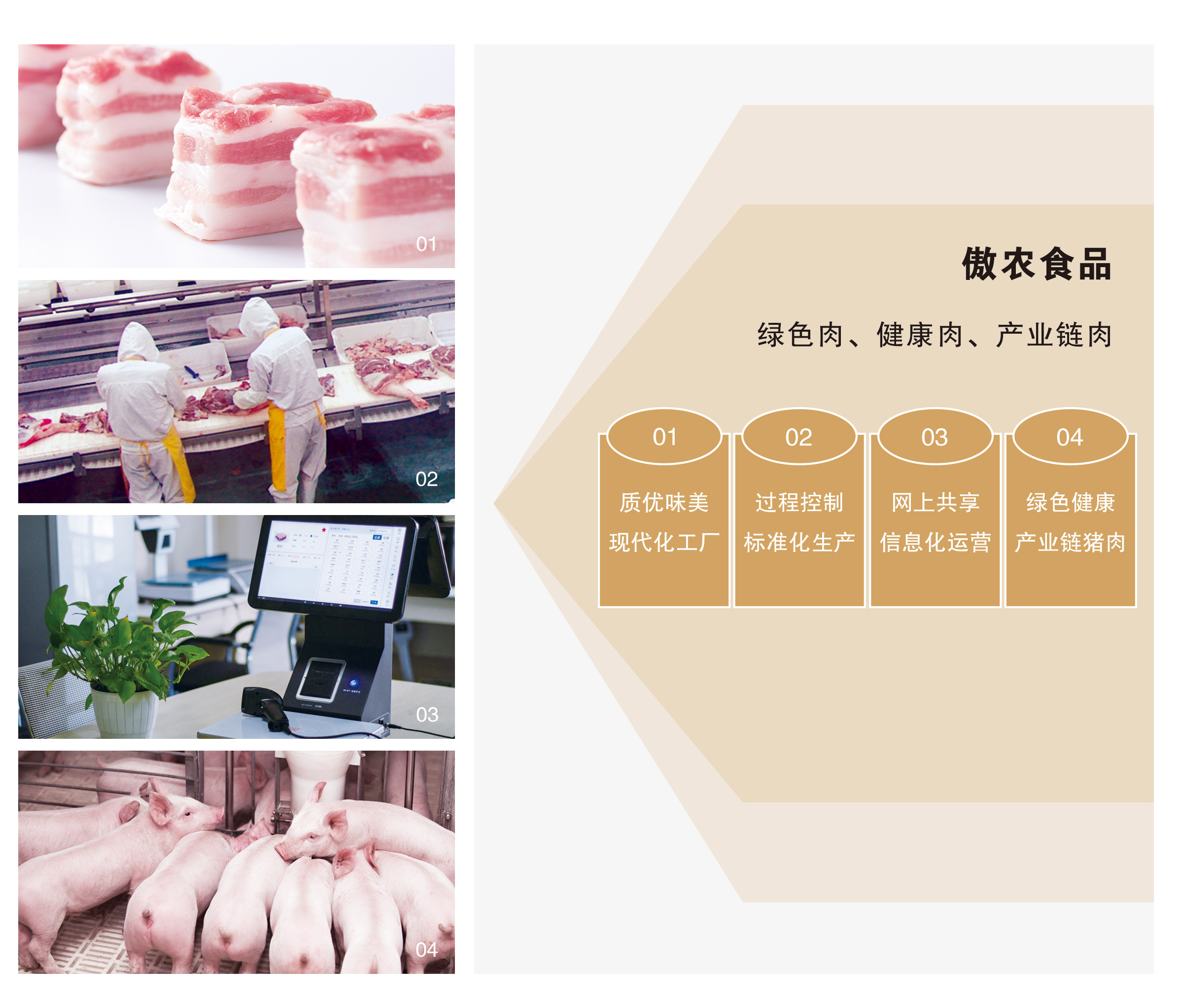 3118云顶集团(中国区)官方网站