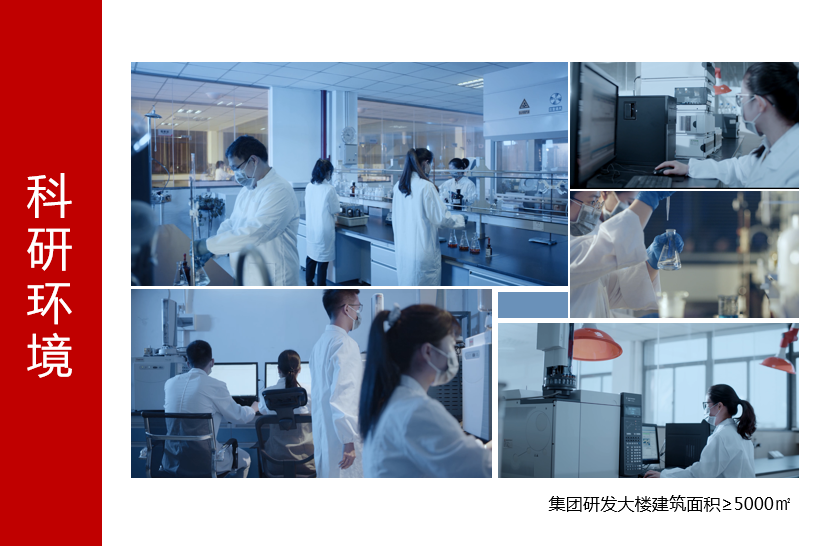 3118云顶集团(中国区)官方网站