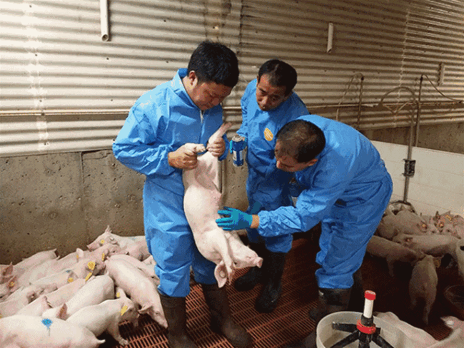 3118云顶集团(中国区)官方网站