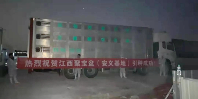 3118云顶集团(中国区)官方网站