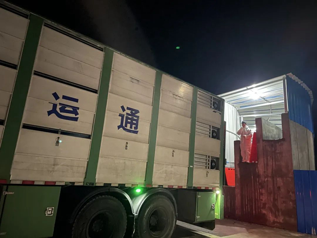 3118云顶集团(中国区)官方网站
