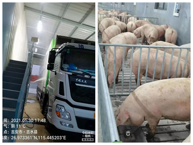 3118云顶集团(中国区)官方网站