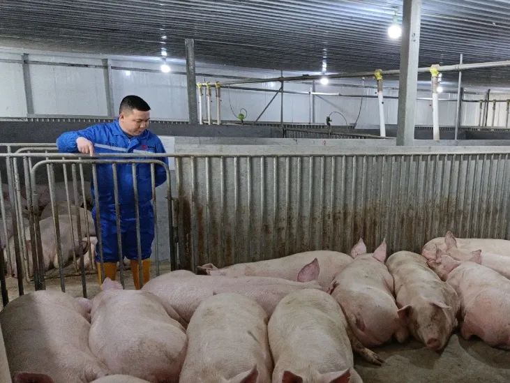 3118云顶集团(中国区)官方网站