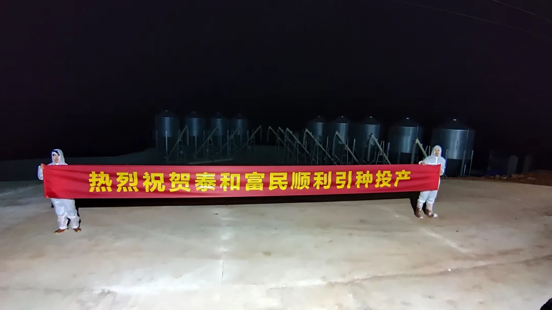 3118云顶集团(中国区)官方网站