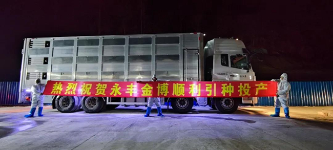 3118云顶集团(中国区)官方网站