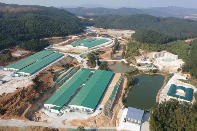 3118云顶集团(中国区)官方网站