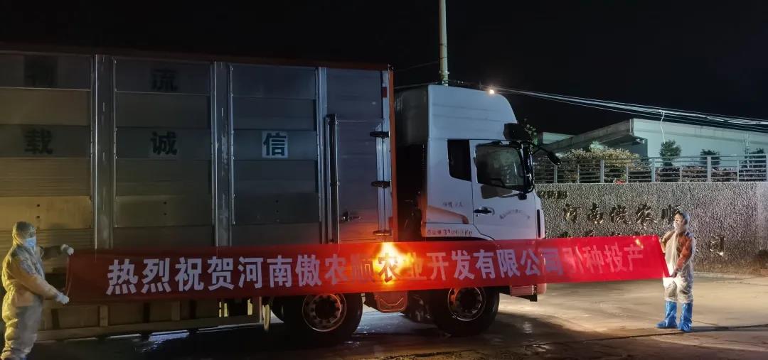 3118云顶集团(中国区)官方网站