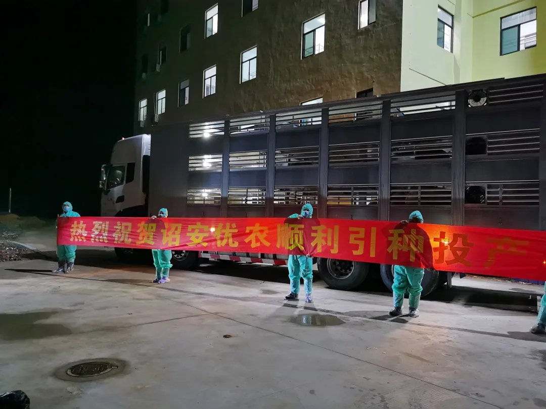 3118云顶集团(中国区)官方网站