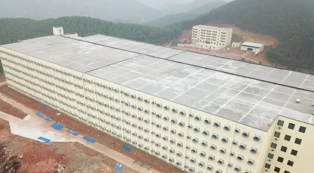 3118云顶集团(中国区)官方网站