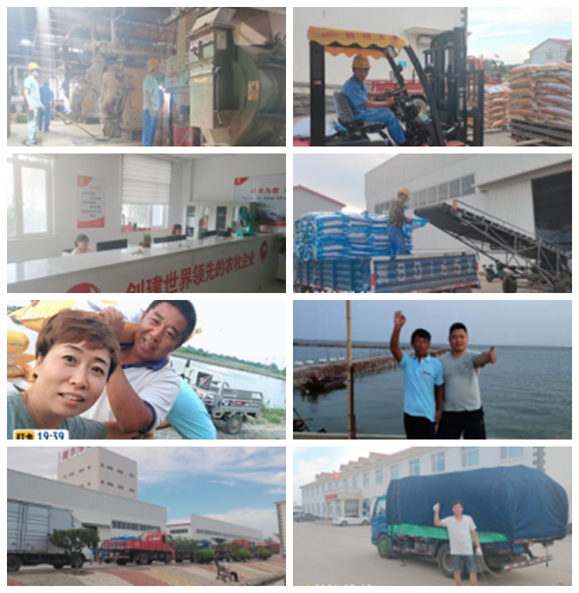 3118云顶集团(中国区)官方网站