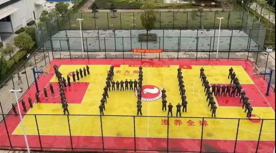 3118云顶集团(中国区)官方网站