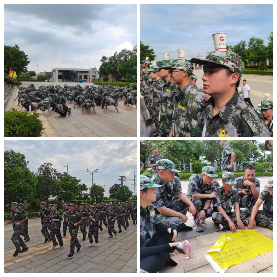 3118云顶集团(中国区)官方网站