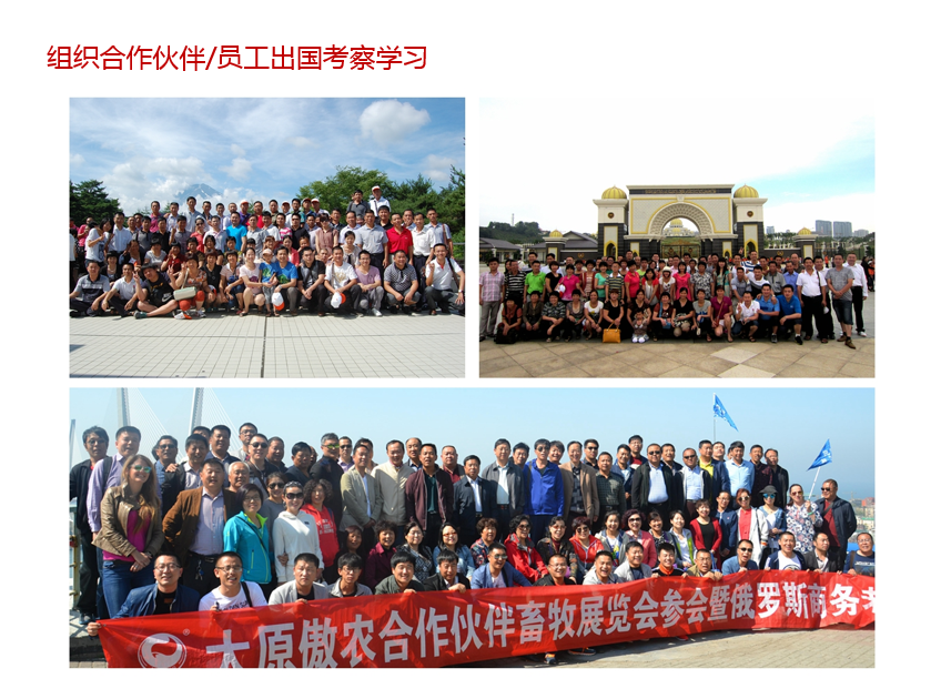 3118云顶集团(中国区)官方网站