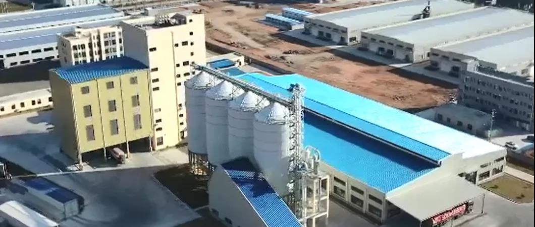 3118云顶集团(中国区)官方网站