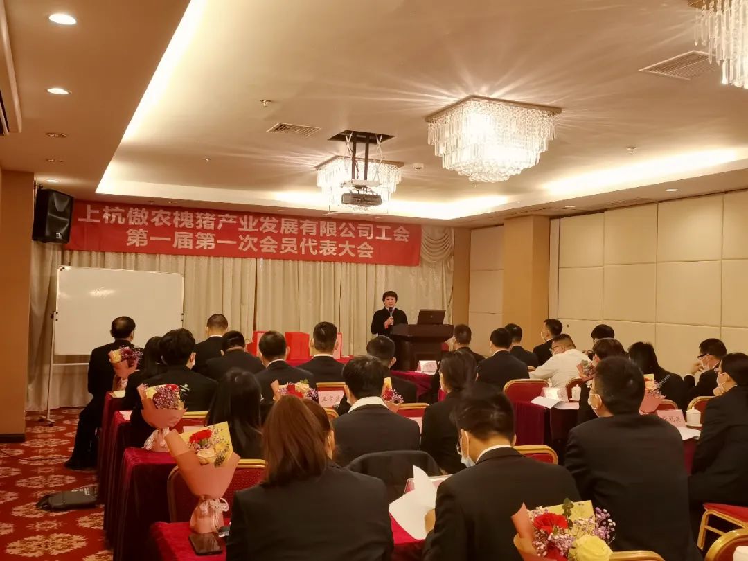 3118云顶集团(中国区)官方网站